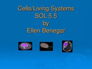 Cells/Living Systems SOL 5.5 by Ellen Benegar