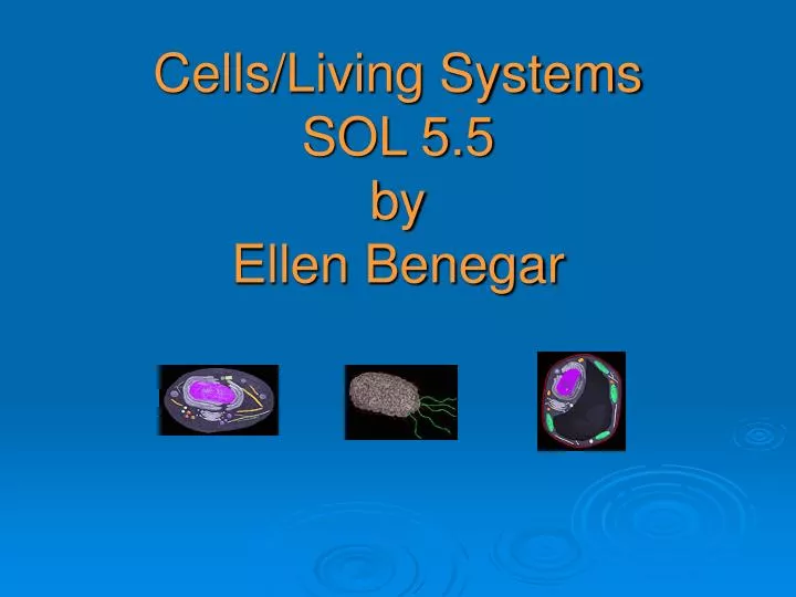 cells living systems sol 5 5 by ellen benegar