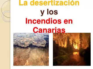 La desertización y los Incendios en Canarias