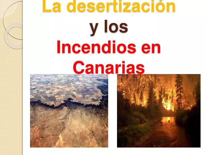 la desertizaci n y los incendios en canarias