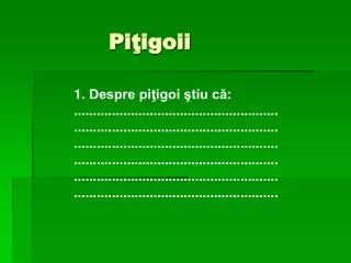 Pi ţigoii