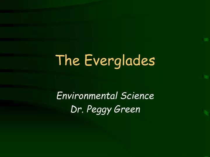 the everglades