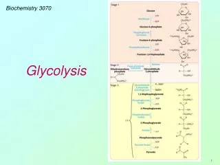 Biochemistry 3070