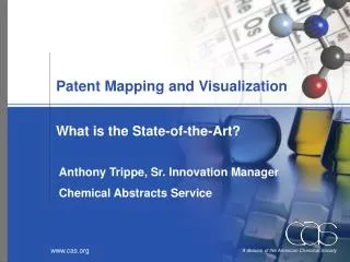 Patent Mapping and Visualization