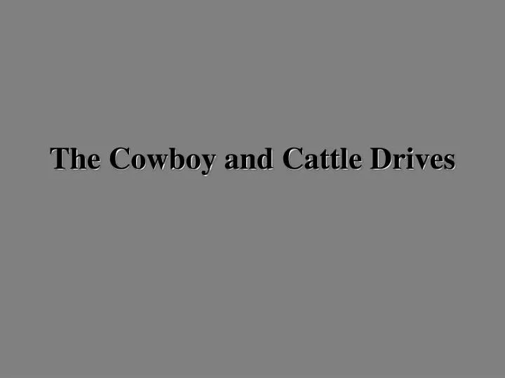the cowboy and cattle drives
