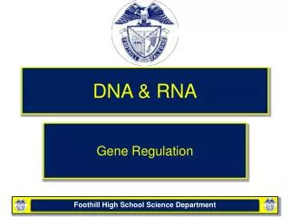DNA &amp; RNA