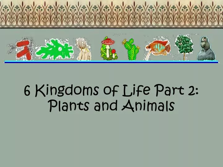 6 kingdoms of life part 2 plants and animals