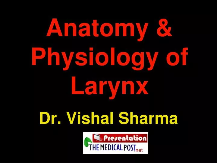 anatomy physiology of larynx