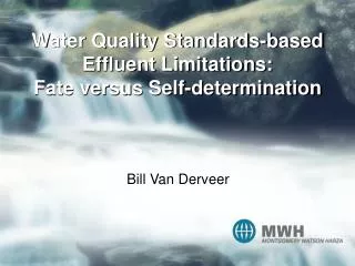 Water Quality Standards-based Effluent Limitations: Fate versus Self-determination