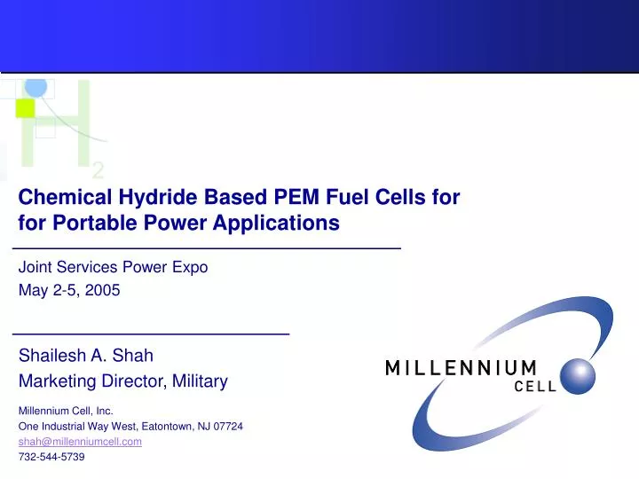 chemical hydride based pem fuel cells for for portable power applications