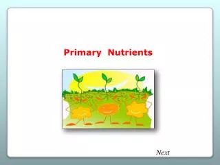 Primary Nutrients