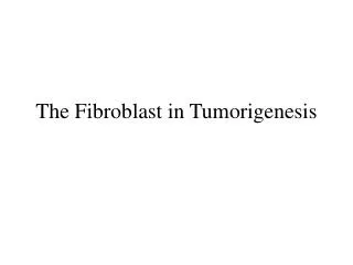 The Fibroblast in Tumorigenesis