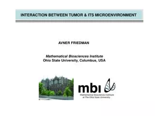 INTERACTION BETWEEN TUMOR &amp; ITS MICROENVIRONMENT