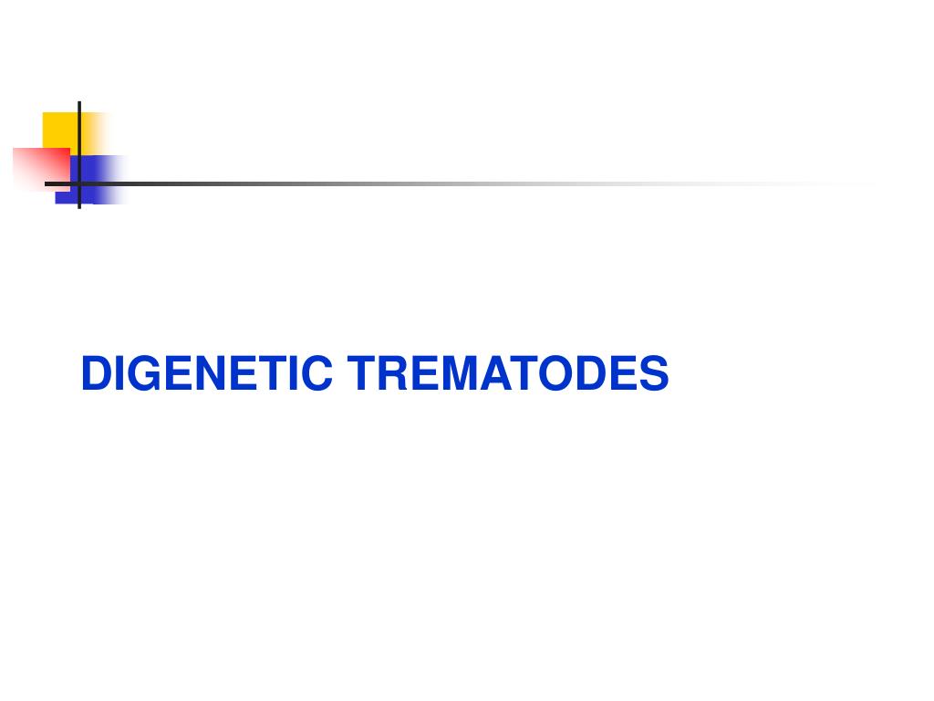 PPT - DIGENETIC TREMATODES PowerPoint Presentation, free download - ID ...