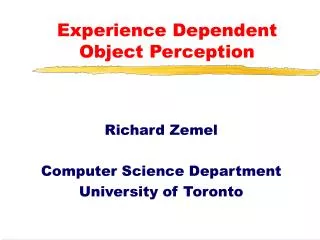 Experience Dependent Object Perception