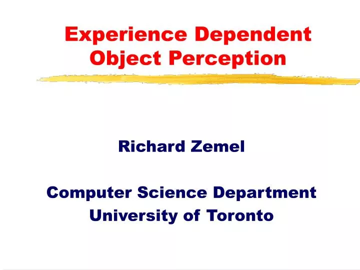 experience dependent object perception