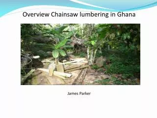 Overview Chainsaw lumbering in Ghana by James Parker