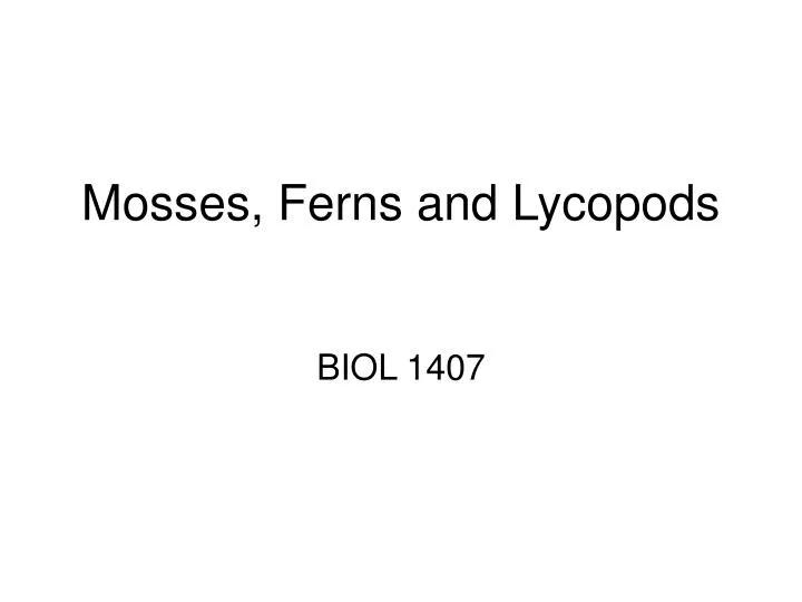 mosses ferns and lycopods