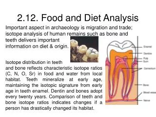 2.12. Food and Diet Analysis