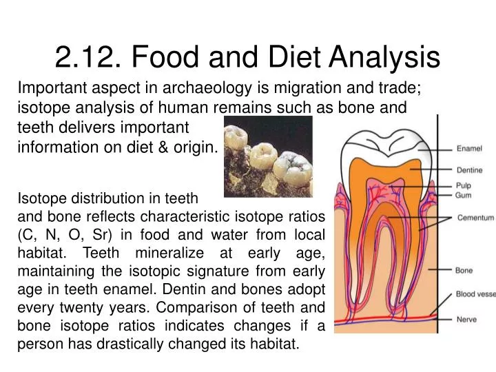 2 12 food and diet analysis