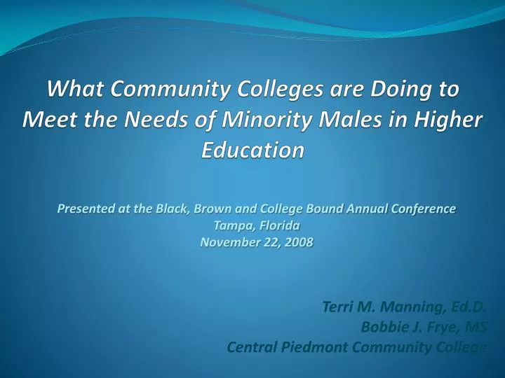 what community colleges are doing to meet the needs of minority males in higher education
