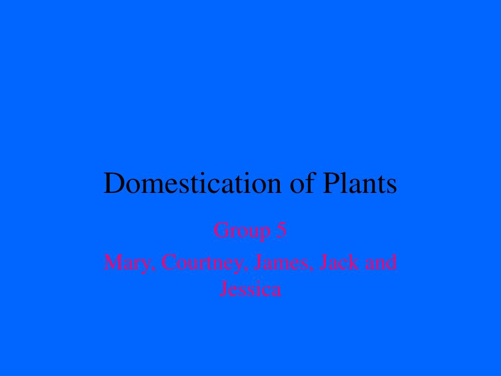 PPT - Domestication of Plants PowerPoint Presentation, free download ...
