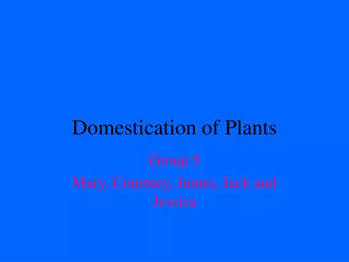 domestication of plants