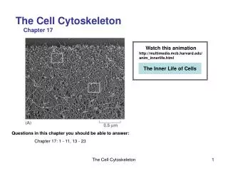The Cell Cytoskeleton Chapter 17