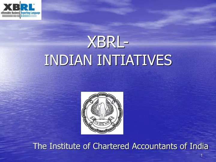 xbrl indian intiatives