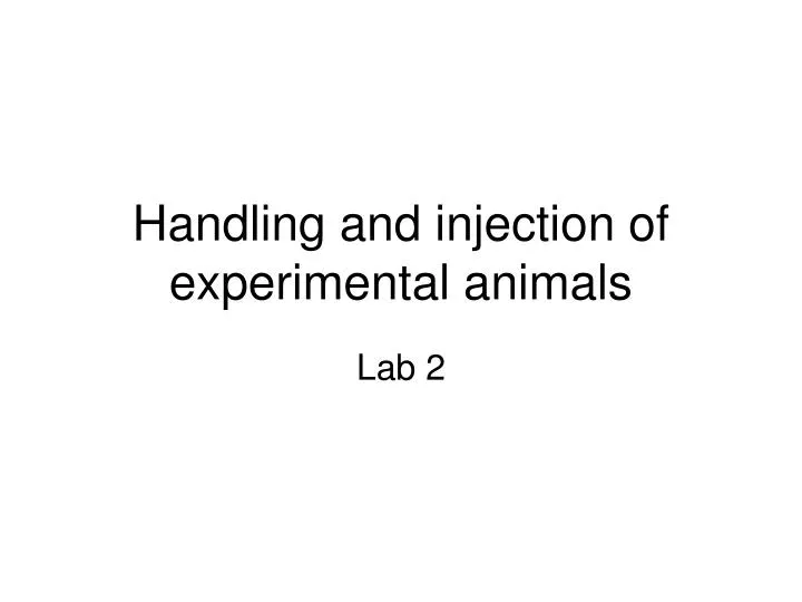 handling and injection of experimental animals