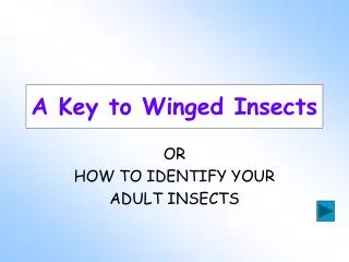 A Key to Winged Insects