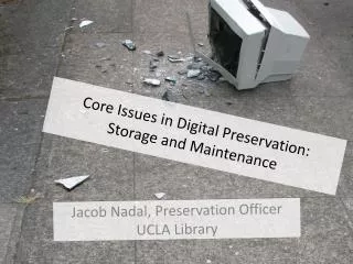 Core Issues in Digital Preservation: Storage and Maintenance
