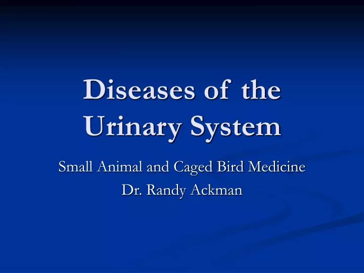 diseases of the urinary system