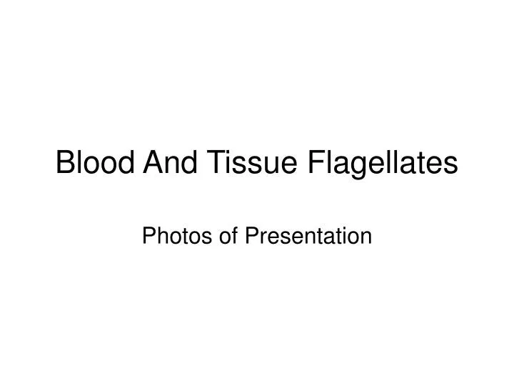 blood and tissue flagellates