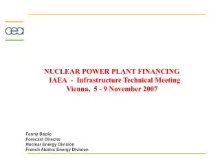 NUCLEAR POWER PLANT FINANCING IAEA - Infrastructure Technical Meeting Vienna, 5 - 9 November 2007