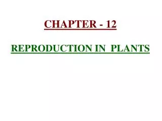 CHAPTER - 12 REPRODUCTION IN PLANTS
