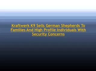 Kraftwerk K9 Sells German Shepherds To Families And High Pro
