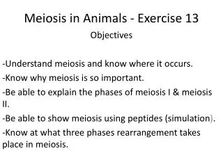 Meiosis in Animals - Exercise 13