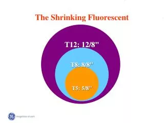 The Shrinking Fluorescent