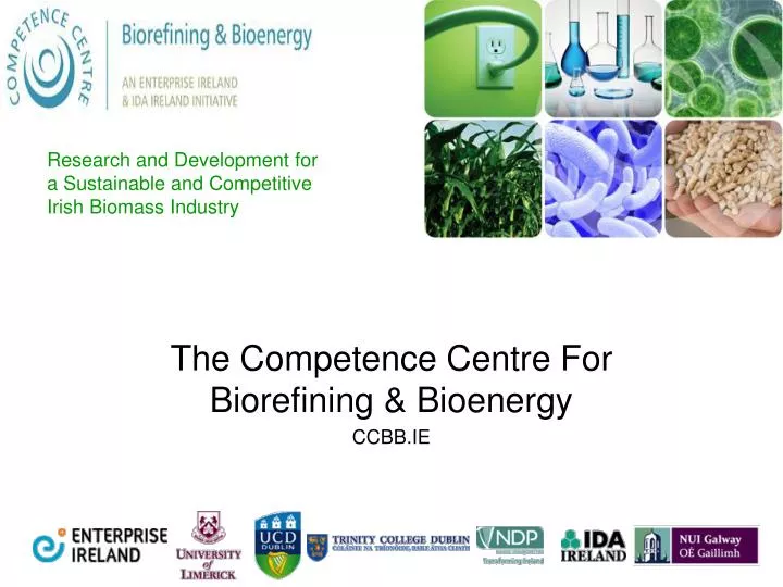 research and development for a sustainable and competitive irish biomass industry