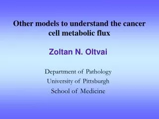 Other models to understand the cancer cell metabolic flux