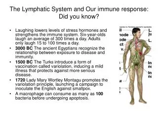 The Lymphatic System and Our immune response: Did you know?