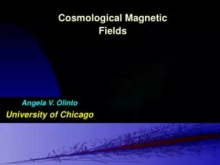 Cosmological Magnetic Fields