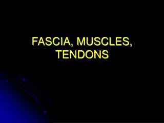 FASCIA, MUSCLES, TENDONS