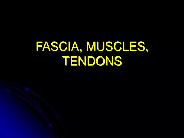 fascia muscles tendons