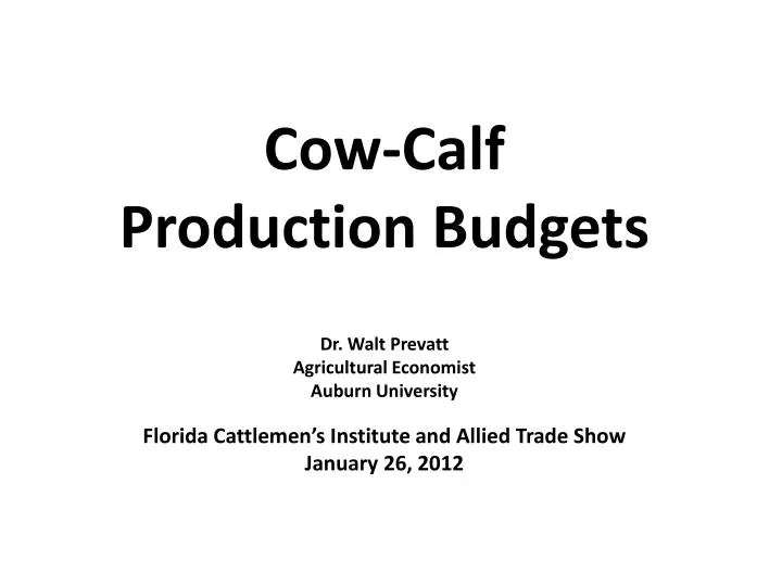 cow calf production budgets