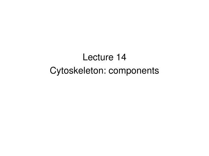 lecture 14 cytoskeleton components