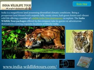 india wildlife tour
