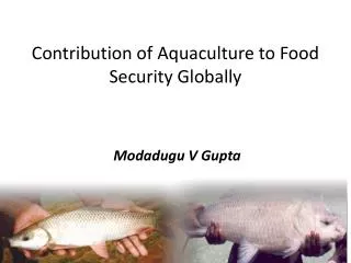 Contribution of Aquaculture to Food Security Globally