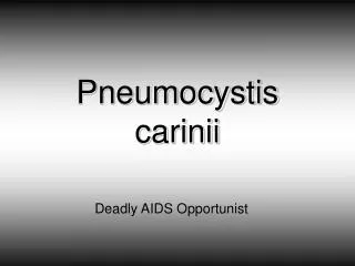 Pneumocystis carinii